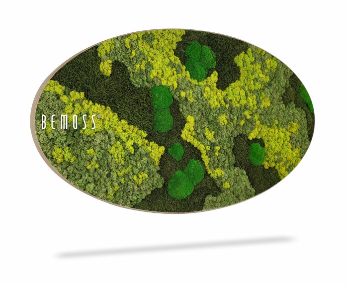 Een ovale wanddecoratie met een weelderig, abstract dessin gemaakt van verschillende tinten groen mos en felgele elementen. Op de zijkant van de Mosschilderij Ellips BEMOSS® ORTHO TORRES staat het woord 