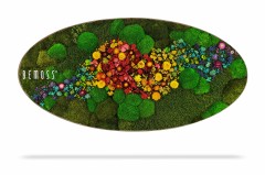 Een ovaalvormig bloemstuk met levendige, veelkleurige bloemen die een rivierachtig pad vormen door een bed van groene Mosschilderij Ellips PLANTEN Mesia. Op de linkerkant staat in witte tekst de merknaam "Mosschilderij Ellips PLANTEN Mesia". Het arrangement werpt een vage schaduw op een witte achtergrond.