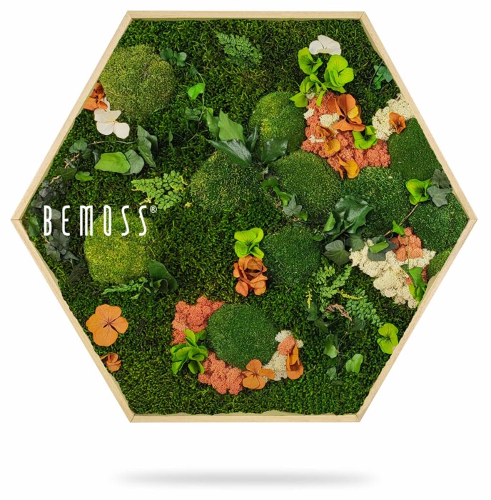 Een zeshoekig houten frame met een levendig arrangement van geconserveerd mos, gebladerte en kleurrijke kunstbloemen in de kleuren groen, oranje en wit. Op de linkerkant van het frame staat het woord 