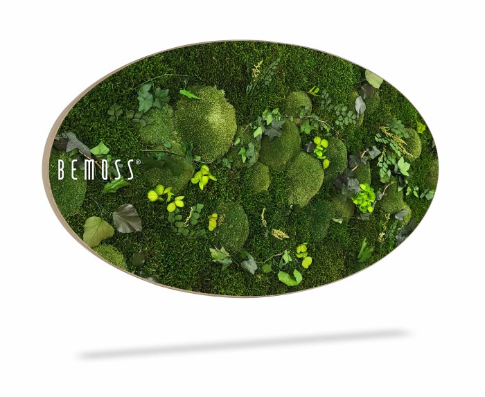 Een ovaalvormige plantendecoratie met een verscheidenheid aan groene mos en bladeren. De natuurlijke elementen zijn artistiek gerangschikt binnen het frame, waardoor een weelderige, levendige uitstraling ontstaat. Aan de linkerkant van de Mosschilderij Ellips PLANTEN Mesia is het logo 