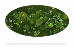 Een ovale wanddecoratie met een weelderige opstelling van groen mos, diverse groene bladeren en kleine blaadjes. Het oppervlak heeft een natuurlijk, gestructureerd uiterlijk en straalt een verticale binnentuin of op de natuur geïnspireerde kunst uit. Op de linkerkant van deze elegante Mosschilderij Ellips PLANTEN Mesia staat de tekst "BEMOSS".