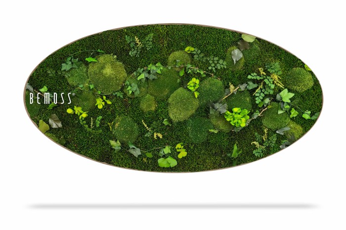 Een ovale wanddecoratie met een weelderige opstelling van groen mos, diverse groene bladeren en kleine blaadjes. Het oppervlak heeft een natuurlijk, gestructureerd uiterlijk en straalt een verticale binnentuin of op de natuur geïnspireerde kunst uit. Op de linkerkant van deze elegante Mosschilderij Ellips PLANTEN Mesia staat de tekst 