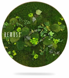 Een cirkelvormige Mosschilderij-cirkel PLANTEN Mesia bestaat uit weelderig groen mos en kunstig gerangschikte kleine bladplanten. Het ontwerp omvat verschillende tinten groen, wat een natuurlijk, levendig gevoel aan het stuk toevoegt. Aan de linkerkant van de cirkel is het BEMOSS-logo zichtbaar.