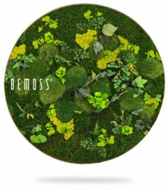 Een rond frame met een levendig, weelderig arrangement van diverse groene mossen en planten, ingekapseld onder een doorschijnende hoes. Het woord "BEMOSS" is prominent weergegeven aan de linkerkant van de cirkel, waardoor de Mosschilderij cirkel PLANTEN Mesia een strakke, moderne esthetiek krijgt.
