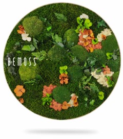 Een cirkelvormig frame omsluit een weelderig arrangement van verschillende groene mossen, kleine planten en trossen oranje en witte bloemen. Het woord "BEMOSS" is op de linkerkant van het frame gedrukt. Deze Mosschilderij cirkel PLANTEN Mesia heeft een natuurlijke, levendige en gestructureerde uitstraling.