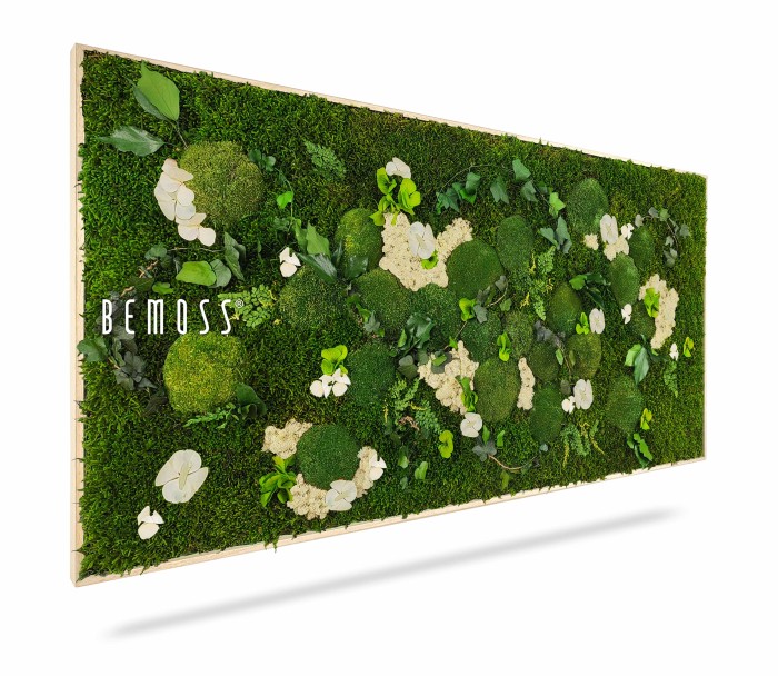 Een moderne en levendige rechthoekige verticale tuinmuur met weelderig groen mos, verschillende planten en witte bloemen. Het woord 