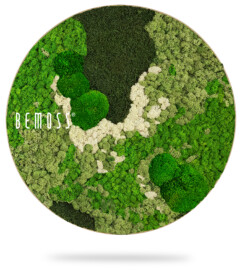 Een cirkelvormig verticaal tuindisplay met verschillende tinten en texturen van groen mos, met enkele gebroken witte vlekken. Het woord "BEMOSS" is zichtbaar aan de linkerkant van de weelderige Mosschilderij-cirkel BEMOSS® ORTHO GREEN. De tuin ziet er levendig en gestructureerd uit en biedt een natuurlijk esthetisch ideaal voor elke ruimte.