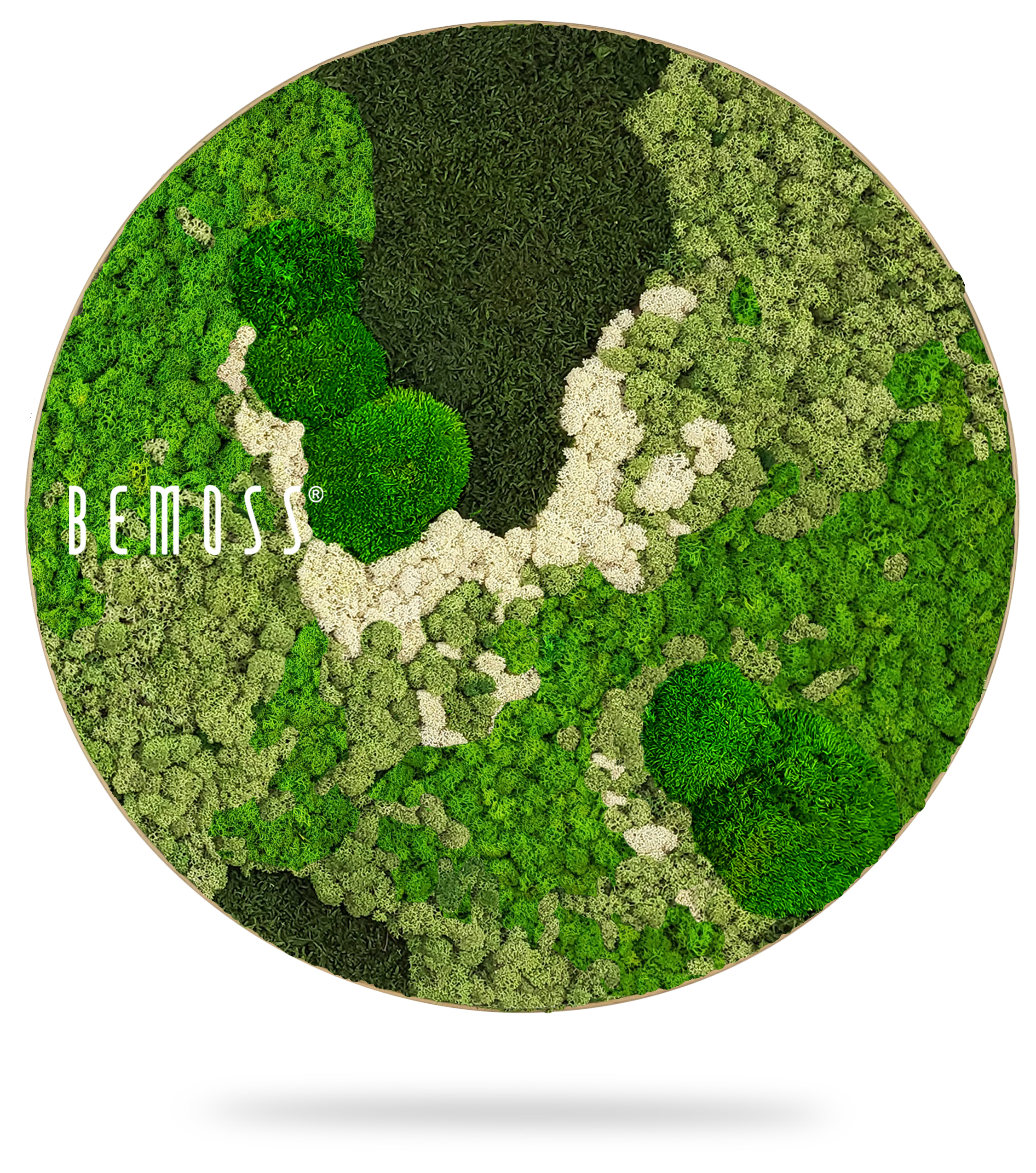 Mosschilderij cirkel BEMOSS® ORTHO GREEN