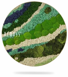 Deze Mosschilderij-cirkel BEMOSS® ORTHO OLVERA, een rond, op de natuur geïnspireerd kunstwerk aan de muur van BEMOSS, heeft een gestructureerd, abstract patroon gemaakt van geconserveerd mos in verschillende tinten groen, blauw en wit. Het ontwerp roept een topografisch landschap op met vloeiende, organische vormen.