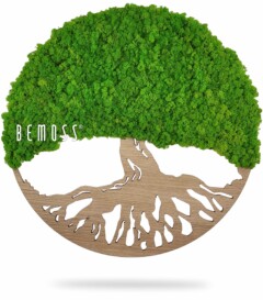 Een houten cirkelvormige uitsnede van een boom met zijn wortels is op de bovenste helft gevuld met levendig groen mos, waardoor het lijkt op een weelderige boomtop. De onderste helft is voorzien van de houten uitsnede van boomwortels, waardoor een artistiek wanddecoratiestuk ontstaat. Het woord "Mosschilderij cirkel LEVENSBOOM #2" is zichtbaar, wat deze unieke moswandcreatie benadrukt.