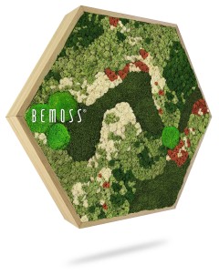 Een zeshoekig houten frame gevuld met weelderig, bewaard mos in verschillende tinten groen, wit en rood, gerangschikt in een golvend patroon. Het woord "Mosschilderij Ellips BEMOSS® ORTHO OLVERA" staat elegant weergegeven aan de linkerkant van de moschilderij.