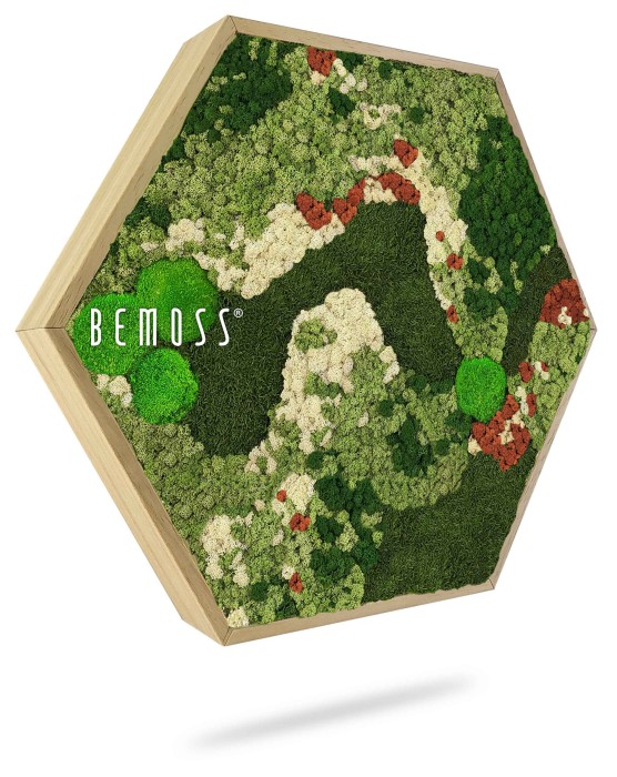 Een zeshoekig houten frame gevuld met weelderig, bewaard mos in verschillende tinten groen, wit en rood, gerangschikt in een golvend patroon. Het woord 
