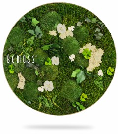 Een ronde wanddecoratie met een weelderig arrangement van bewaard gebleven groen mos, witte bloemen en diverse soorten groen. Op de linkerkant van de cirkel staat het woord "BEMOSS®" gedrukt. Deze Mosschilderij cirkel PLANTEN Arce heeft een natuurlijke en levendige uitstraling en doet denken aan een mini-binnentuin.