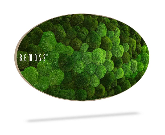 Een ovale Mosschilderij Ellips BOLMOSS DUO Natural Green met een dichte, groene mostextuur. Het BEMOSS®-logo bevindt zich aan de linkerkant van het kunstwerk. Het ontwerp heeft een driedimensionale uitstraling met gevarieerde groentinten, waardoor een natuurlijk, weelderig landschapseffect ontstaat.