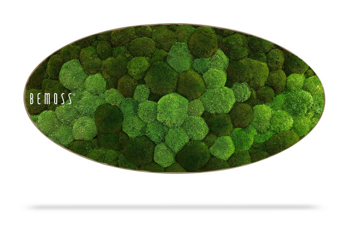 Een ovaal kunstwerk aan de muur gemaakt van verschillende tinten groene mosklonten, wat een gestructureerde en natuurlijke uitstraling geeft. Op de linkerkant van de Mosschilderij Ellips BOLMOSS DUO Natural Green staat in witte tekst het woord 