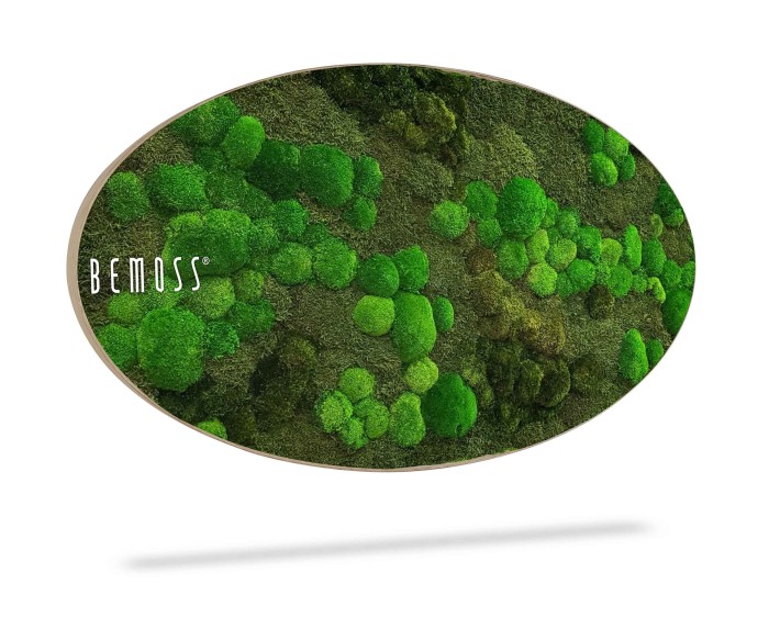 Ovaalvormig decoratief wandkunstwerk met een weelderige, groene mostextuur. Het woord 