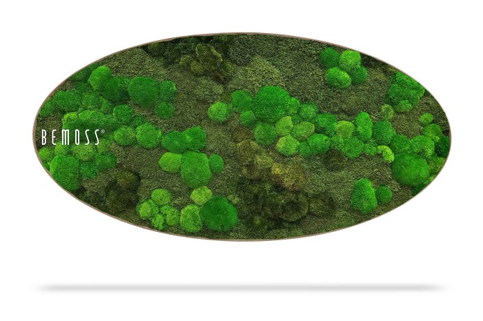 Een ovaalvormig stuk Mosschilderij Ellips BOLMOSS DUO Natural Green wordt weergegeven tegen een witte achtergrond. Het mos heeft verschillende tinten groen, waardoor een gestructureerde, natuurlijke uitstraling ontstaat. De merknaam 