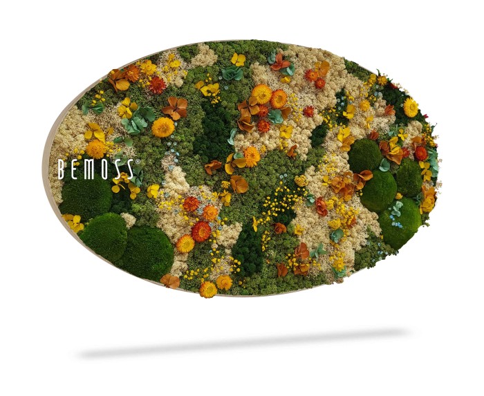 Ovale muurkunst met een levendige weergave van bewaarde Mosschilderij Ellips BOLMOSS DUO Natuurlijk groene bloemen en mossen in verschillende kleuren, waaronder geel, oranje, groen en bruin. Op de linkerkant staat het woord 