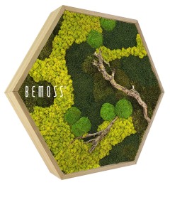 Zeshoekig houten frame gevuld met een arrangement van geconserveerd groen en geel mos, met accenten van boomtakken en verschillende texturen. Het woord "BEMOSS" wordt aan de linkerkant van het frame weergegeven, wat een natuurlijke, aardse esthetiek laat zien. Deze prachtige Moshexagon BEMOSS® ORTHO BORJA brengt een vleugje natuur in huis.