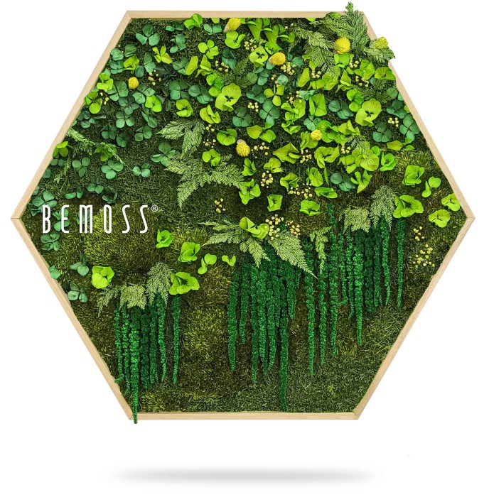 Een zeshoekig houten frame heeft een verticale tuin met levendig groen blad en gele bloemen. Verschillende soorten mos en trapsgewijs groen zorgen voor een gestructureerde, natuurlijke uitstraling. Het woord 