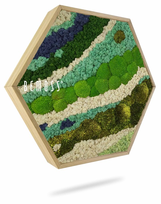 Een zeshoekig houten frame met daarin een levendig arrangement met meerdere texturen van geconserveerd mos in verschillende tinten groen, blauw en wit. Het mos heeft een artistiek patroon en lijkt op natuurlijke landschappen. Het woord 