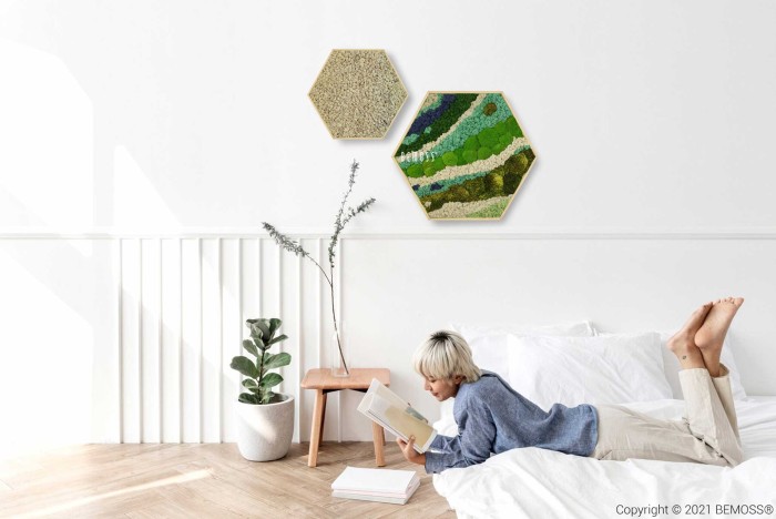 Een persoon met licht haar ligt op bed een boek te lezen in een minimalistisch ingerichte kamer. Aan de muur hangen twee zeshoekige Moshexagon BEMOSS® ORTHO BORJA-kunstwerken, en er staat een klein nachtkastje met een plant erop, samen met nog een potplant op de vloer.