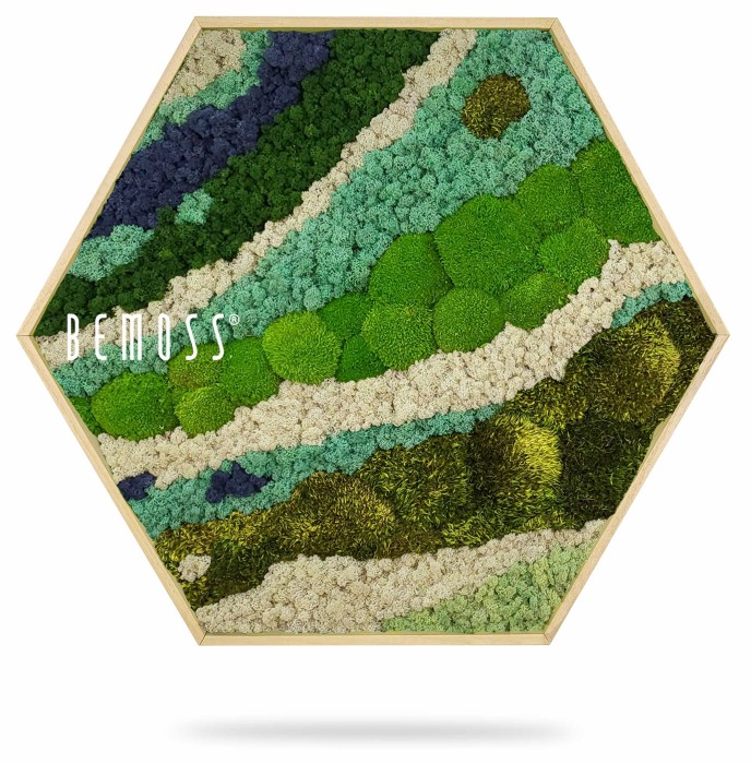 Een zeshoekig wandkunstwerk gevuld met verschillende tinten geconserveerd mos, gerangschikt in een abstract patroon. De kleuren variëren van diepgroen en turkoois tot lichtgroen, beige en donkerblauw, waardoor een gestructureerd, natuurlijk landschapseffect ontstaat. Aan de linkerkant van de moschilderij staat het woord 