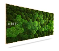 Een rechthoekig kunstwerk aan de muur met een weelderig, groen mosontwerp, ingelijst in licht hout. De Mosschilderij Ellips BOLMOSS DUO Natural Green toont gestructureerde, afgeronde plekken die diepte en levendigheid toevoegen. Aan de linkerkant van het stuk is de merknaam "BEMOSS" zichtbaar.