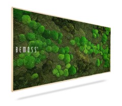 Een decoratief kunstwerk aan de muur met verschillende tinten groen mos, ook wel Mosschilderij PLANTEN Lomo genoemd, gerangschikt in een natuurlijk, organisch patroon binnen een rechthoekig houten frame. Op de linkerkant van het stuk staat het woord "Mosschilderij PLANTEN Lomo" gedrukt.