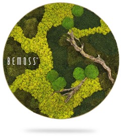 Een rond decorstuk met een weelderige opstelling van groen en geel mos, takken en ronde moselementen. Het woord "BEMOSS" staat op de linkerkant van de cirkel gedrukt. Deze Mosschilderij cirkel BEMOSS® ORTHO BORJA hangt tegen een witte achtergrond, waardoor een op de natuur geïnspireerd ontwerp ontstaat.