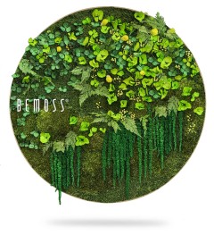 Een ronde Moshexagon PLANTEN Lomo met een levendige weergave van bewaard gebleven groen met verschillende soorten bladeren en planten artistiek gerangschikt. Het woord "BEMOSS" is elegant aan de linkerkant geschreven in witte tekst. Het gehele ontwerp speelt zich af tegen een maagdelijk witte achtergrond, waardoor een opvallend contrast ontstaat.