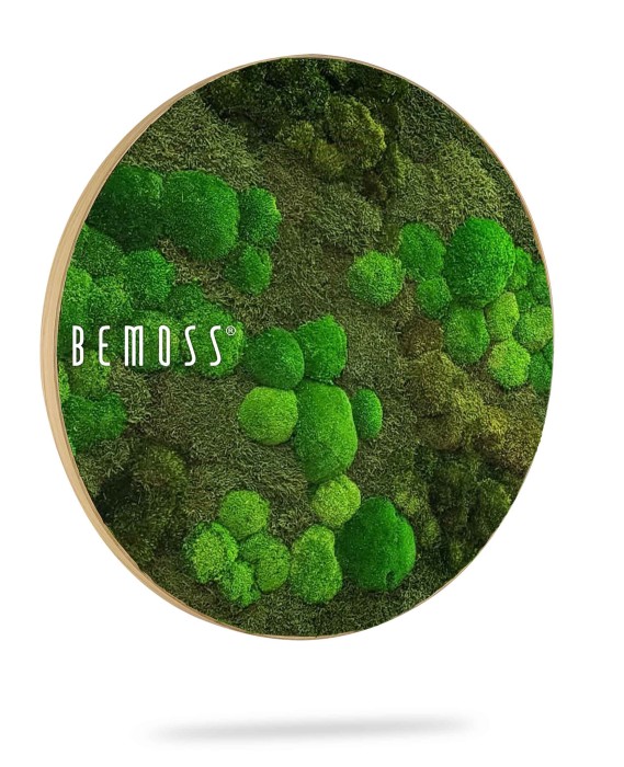 Een cirkelvormige groene Mosschilderij Ellips BOLMOSS DUO Natural Green met verschillende tinten mosklonten waardoor een gestructureerde, natuurlijke uitstraling ontstaat. Het woord 