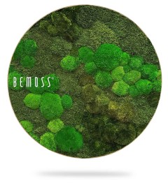 Het cirkelvormige ontwerp bestaat uit een groene moswand met verschillende tinten weelderige, getextureerde mosklonten, waardoor een natuurlijke uitstraling ontstaat. Het woord "BEMOSS" staat in het wit geschreven aan de linkerkant van de cirkel. De cirkel werpt een zachte schaduw op een witte achtergrond en roept de essentie op van een elegante Mosschilderij Ellips BOLMOSS DUO Natural Green.