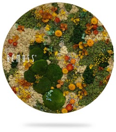 De Mosschilderij PLANTEN Lomo, een cirkelvormig wandkunstwerk van Bemoss, heeft een levendige compositie van bewaard gebleven mos en gebladerte. Het ontwerp omvat verschillende tinten groen mos, geaccentueerd met gele, oranje en bruine bloemen en bladelementen voor een weelderige, natuurlijke esthetiek.