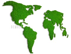 Een opvallende Mosschilderij Wereldkaart CONTINENTEN heeft de vorm van een wereldkaart, met continenten afgebeeld in weelderig groen mos tegen een effen witte achtergrond. De continenten, waaronder Noord-Amerika, Zuid-Amerika, Europa, Afrika en Azië, zijn prachtig vormgegeven. Aan de linkerkant valt het woord "BEMOSS" op.