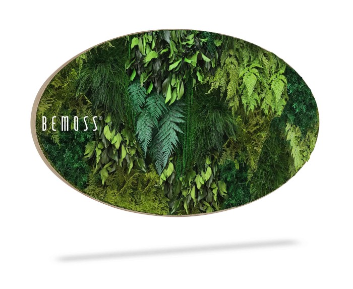 Ovaalvormige muurkunst van 