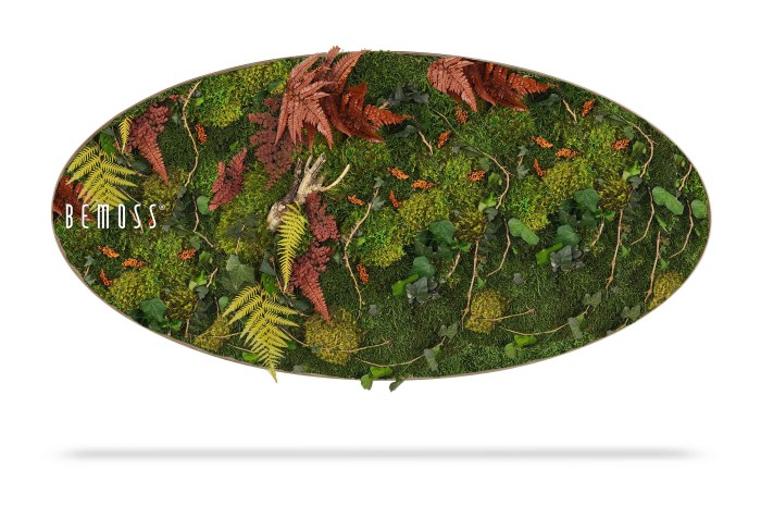 Ovaalvormige botanische kunst aan de muur met verschillende soorten mos, groene bladeren en gedroogde varens. Het levendige display bevat tinten groen en bruin, waardoor een natuurlijke en aardse esthetiek ontstaat. Het woord 