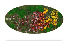 Een ovaalvormige moschilderij ontworpen door Bemoss. Dit unieke kunstwerk aan de muur heeft een weelderig arrangement van veelkleurige bloemen, voornamelijk in rode, gele, roze en paarse tinten, tegen een levendige groene achtergrond van BEMOSS mos.