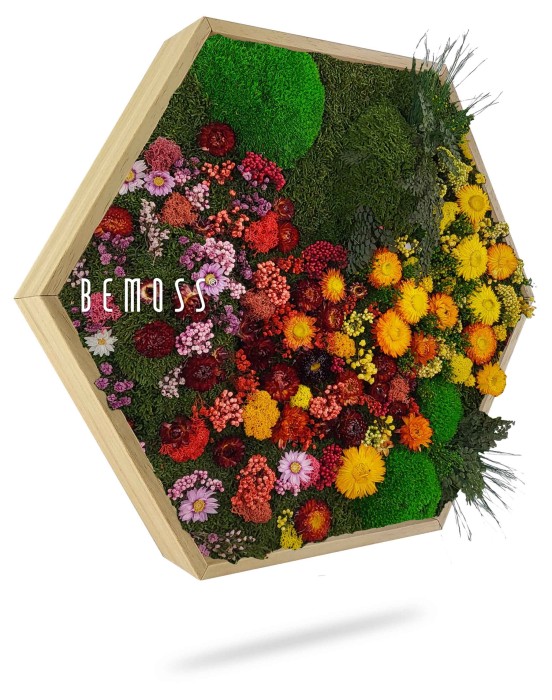 Zeshoekig houten frame gevuld met kleurrijke bewaarde bloemen en groen mos, waardoor een levendig bloemendisplay ontstaat. Aan de linkerkant van het frame is de tekst 