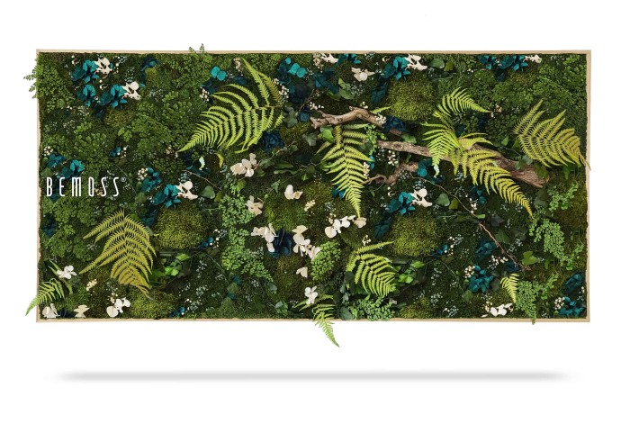 Een decoratief verticaal tuinframe gevuld met diverse soorten groen mos, varens en kleine witte bloemen. Op de linkerkant van het frame staat het woord 