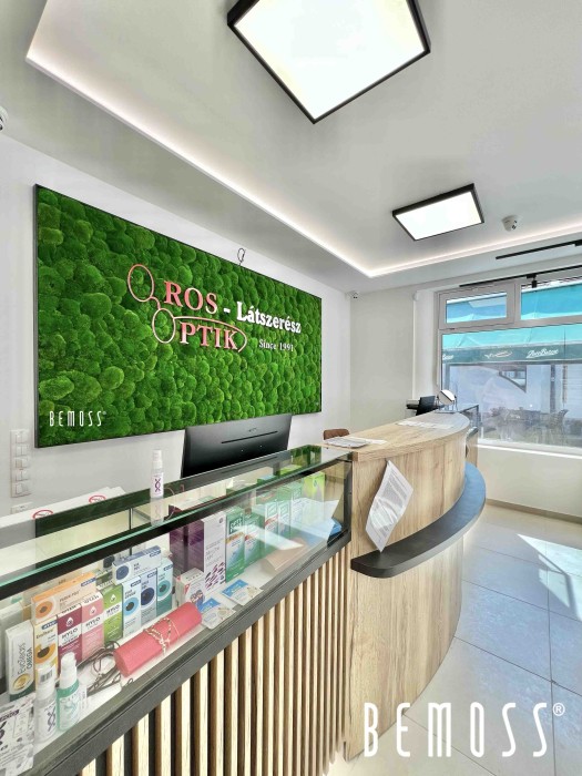 Click to view project – Oros opticien