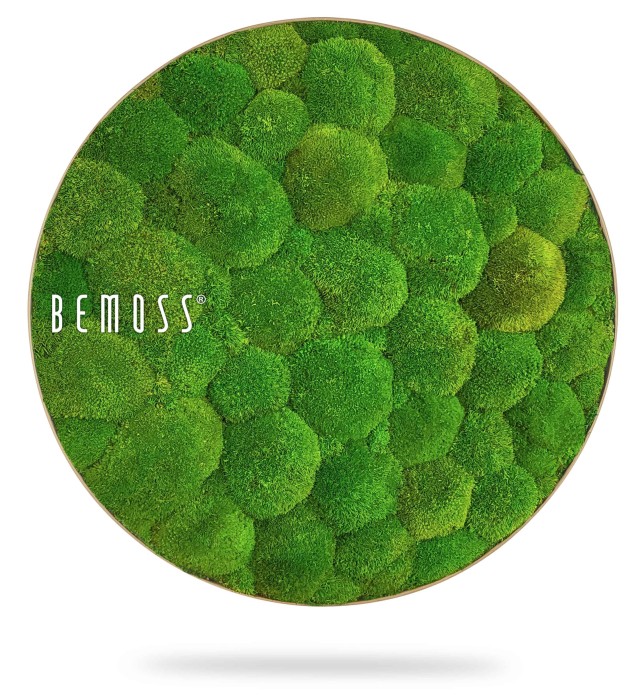 Een cirkelvormig ontwerp met een dichte, weelderige opstelling van groene mosklonten die in grootte variëren. Het woord 