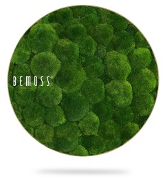 Een rond groen wandkunstwerk gemaakt van geconserveerd mos, gemerkt met de tekst "BEMOSS" aan de linkerkant. De moswand is voorzien van mos gerangschikt in een gestructureerd, groen patroon en lijkt iets boven een witte achtergrond te zweven.