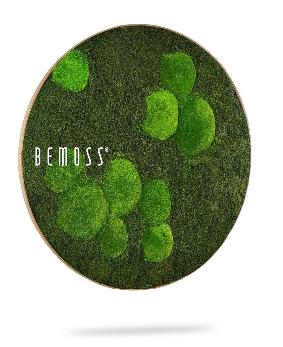 Een cirkelvormig wandkunstwerk van BEMOSS, genaamd de mosschilderij, heeft een weelderig groen mosontwerp met verschillende tinten en texturen, waardoor een natuurlijke en organische uitstraling ontstaat. Het BEMOSS-logo wordt weergegeven in witte tekst op de groene achtergrond. De kunst speelt zich af tegen een effen witte achtergrond.