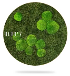 Deze prachtige moschilderij is een cirkelvormig wandkunstwerk van BEMOSS en heeft een levend groen mosontwerp. Het mos is gerangschikt in ronde clusters van verschillende groottes tegen een donkerder gestructureerde mosachtergrond, waardoor een natuurlijk, organisch patroon ontstaat. Het BEMOSS-logo is links op de afbeelding geplaatst.