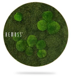 Een rond decorstuk met een weelderig groen mosontwerp met verschillende tinten en texturen van groene vlekken. Het woord "BEMOSS" is op de linkerkant in wit gedrukt. De effen witte achtergrond benadrukt de natuurlijke en aardse uitstraling van deze BEMOSS moschilderij.