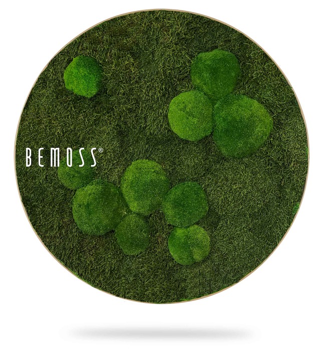 Een rond decorstuk met een weelderig groen mosontwerp met verschillende tinten en texturen van groene vlekken. Het woord 