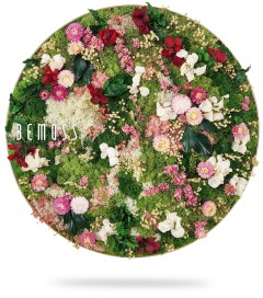 Een cirkelvormig arrangement van bewaarde bloemen en groen, met verschillende tinten roze, rode en witte bloemen, tegen een achtergrond van groen mos. Het woord "BEMOSS" wordt weergegeven aan de linkerkant van de cirkel. Deze elegante moswand werpt een lichte schaduw naar beneden.