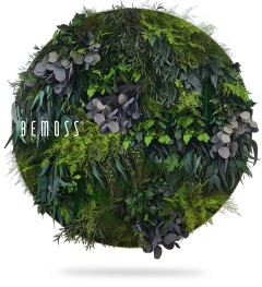 Een bolvormige verticale tuin met een dichte opstelling van verschillende groene en zilveren bladeren, waardoor een weelderig, gestructureerd oppervlak ontstaat. Het woord "BEMOSS®" wordt in witte letters weergegeven aan de linkerkant van de bol. Deze unieke BEMOSS moschilderij zweeft tegen een witte achtergrond.