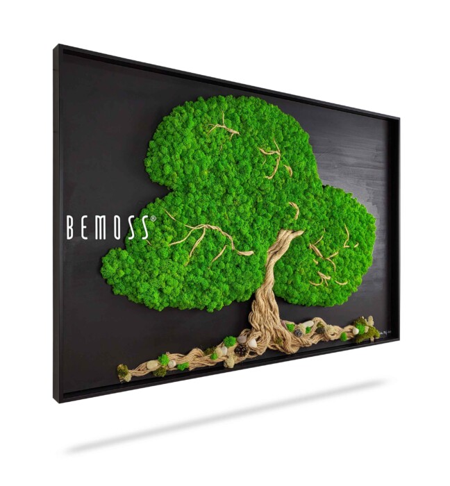Een ingelijst kunstwerk met een weelderige groene boom gemaakt van geconserveerd mos met een beige stam en takken, tegen een zwarte achtergrond. Aan de linkerkant van deze unieke Mosschilderij BOOM ARLES staan de boom en het woord 